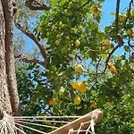 Rita Alojamento de Acomodação e Pequeno-almoço Sorrento