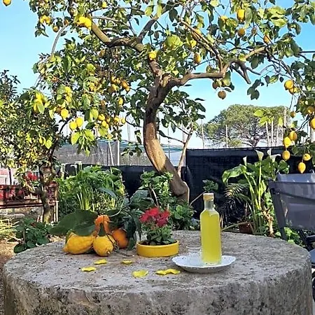 Rita Bed & Breakfast Sorrento