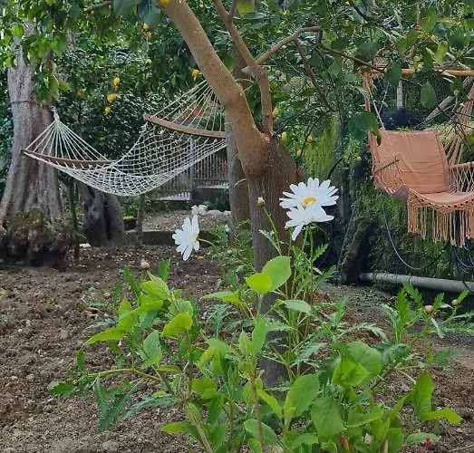 Nocleg ze śniadaniem Rita Półwysep Sorrentyński