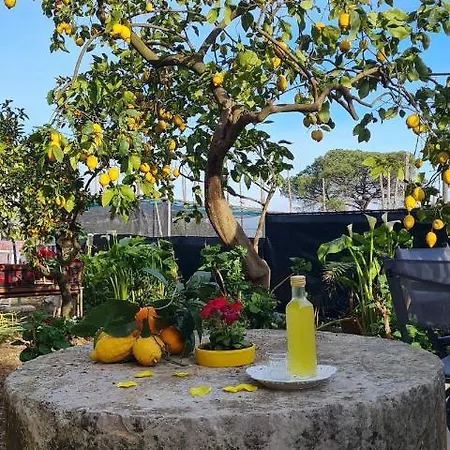 Rita Nocleg ze śniadaniem