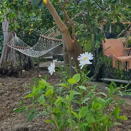 Nocleg ze śniadaniem Rita Półwysep Sorrentyński