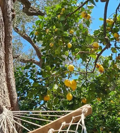 Rita Nocleg ze śniadaniem Półwysep Sorrentyński