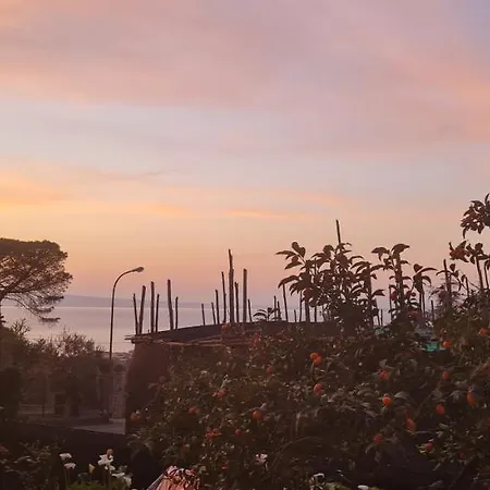 Rita Nocleg ze śniadaniem