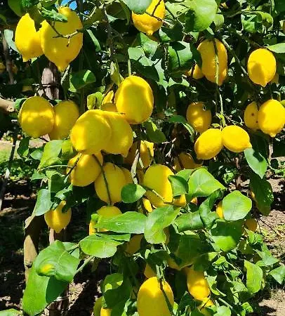 Nocleg ze śniadaniem Rita 3*